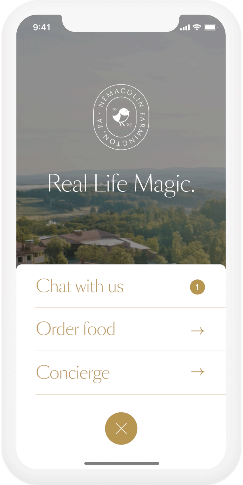 image of website on a phone