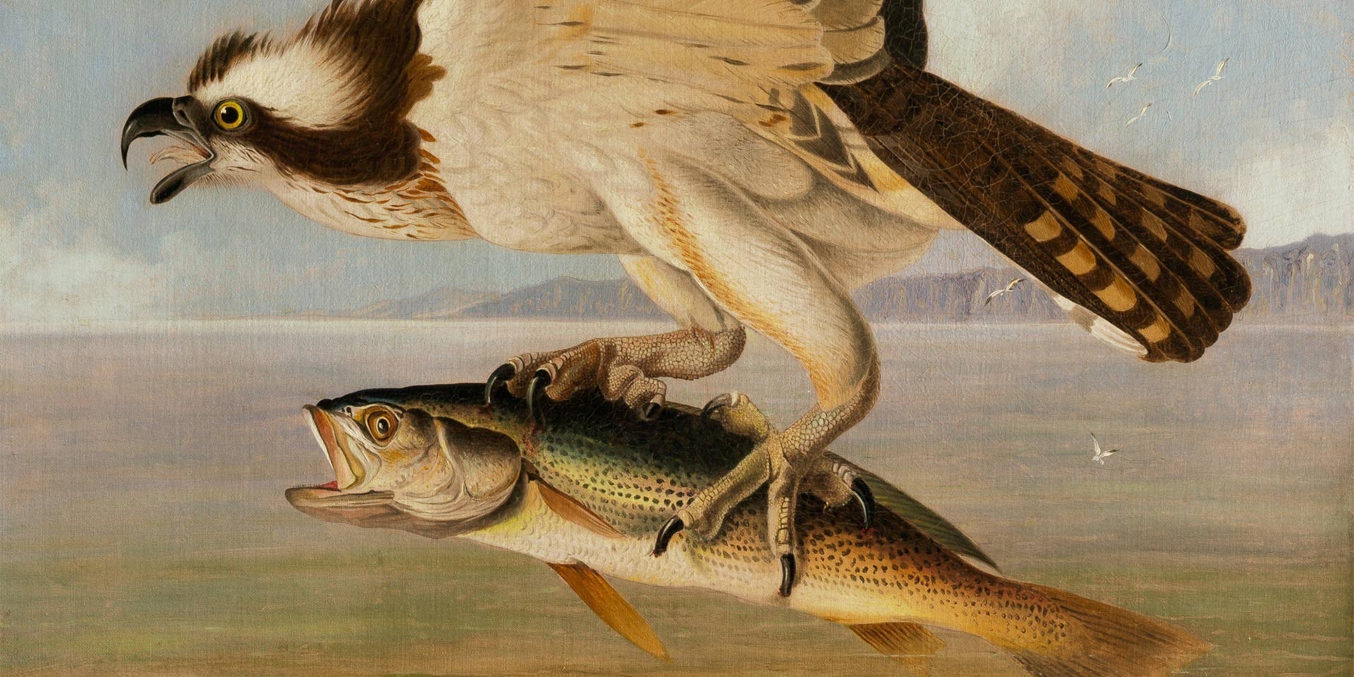 a painting of a bird carrying a fish