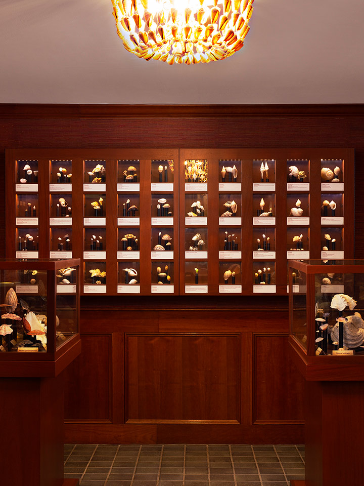 brown wooden wall with an array of picture frames