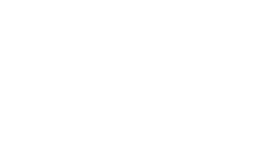 the nemacolin times logo